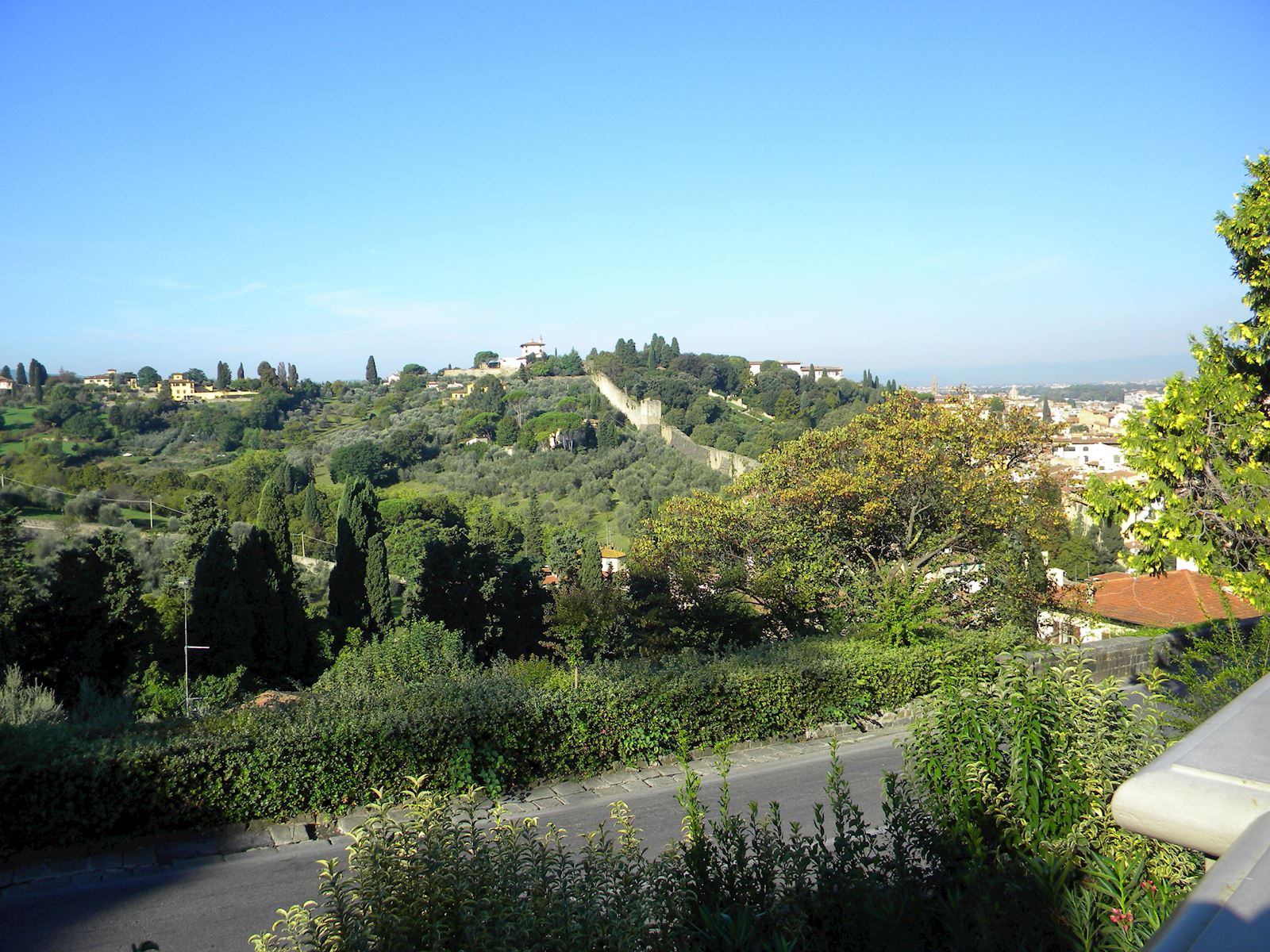 Forte Belvedere