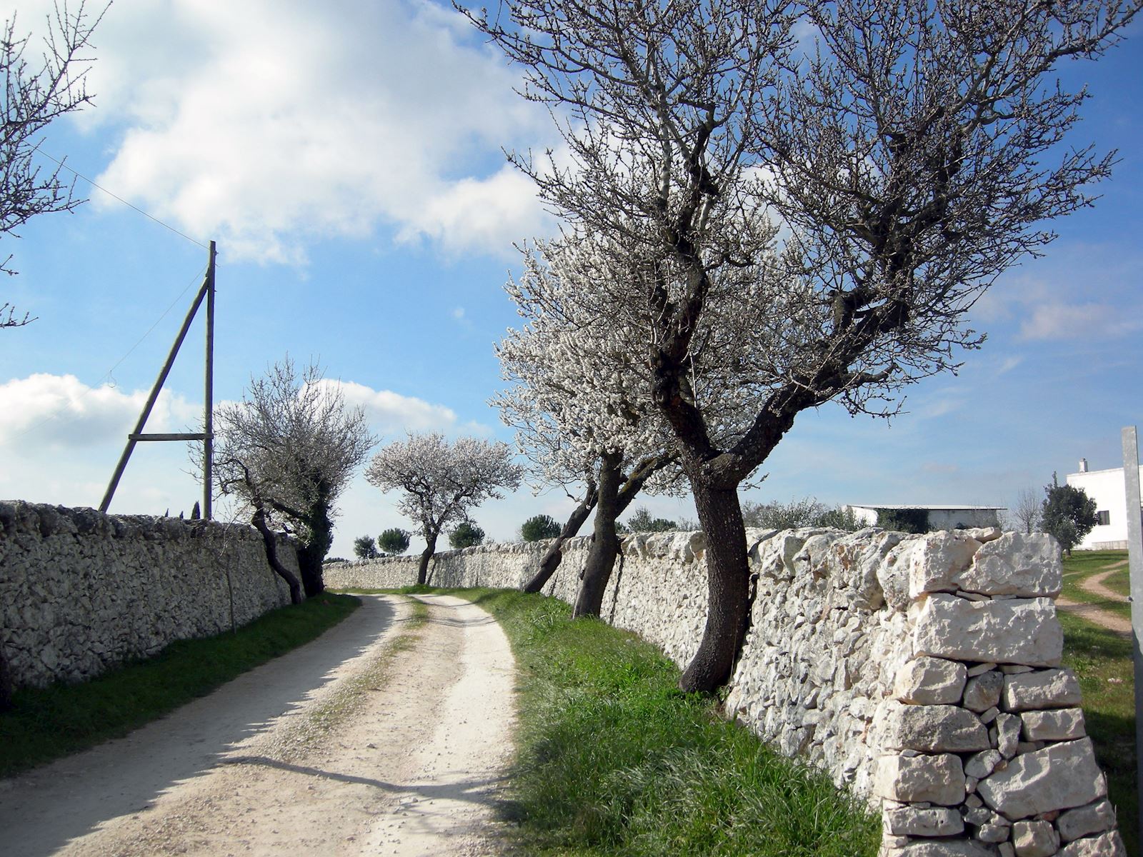 Italian Wine Tours - Travel Styles - Puglia